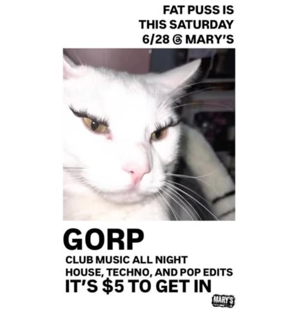 Fat Puss