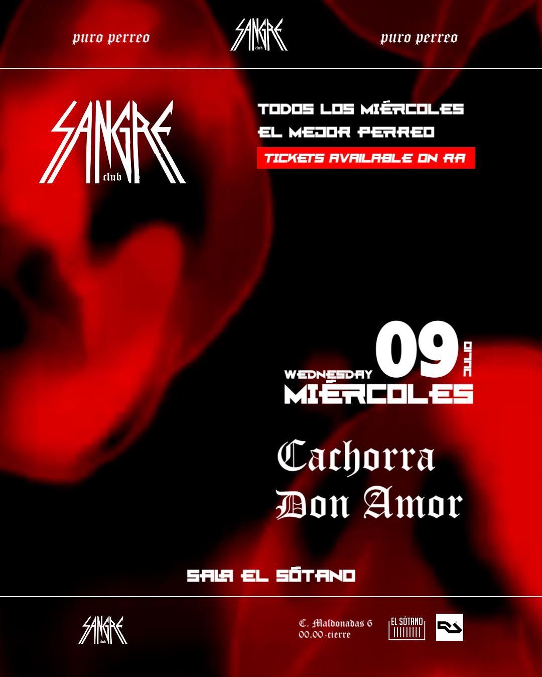 Sangre Club: Cachorra - Don Amor