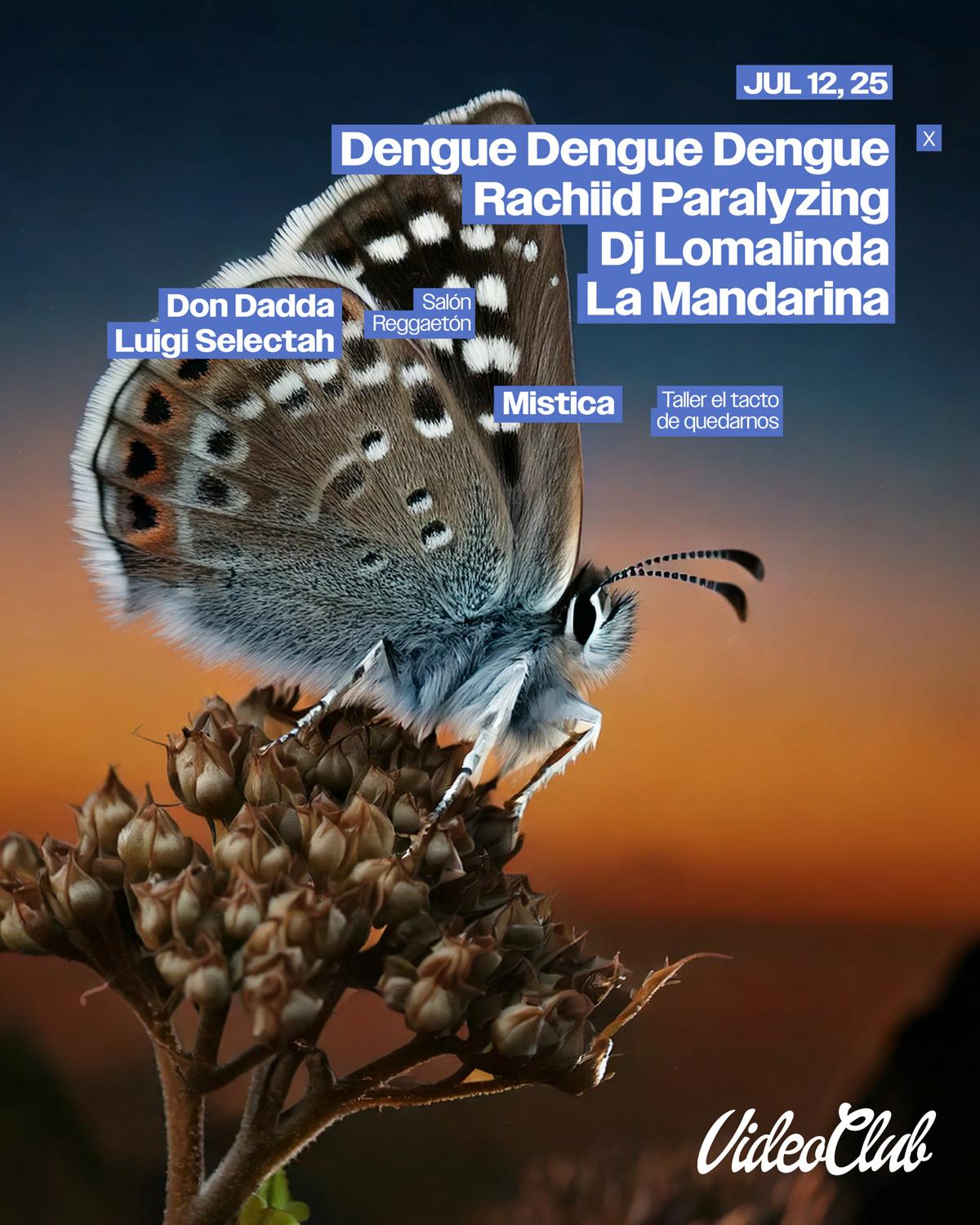 Dengue Dengue Dengue (Pe) / Dj Lomalinda / Rachiid Paralyzing