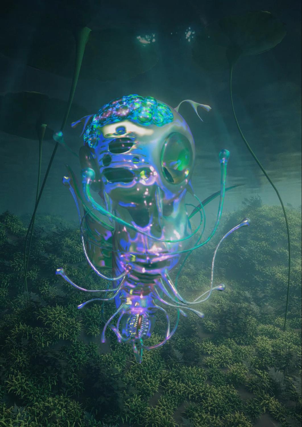 Reef