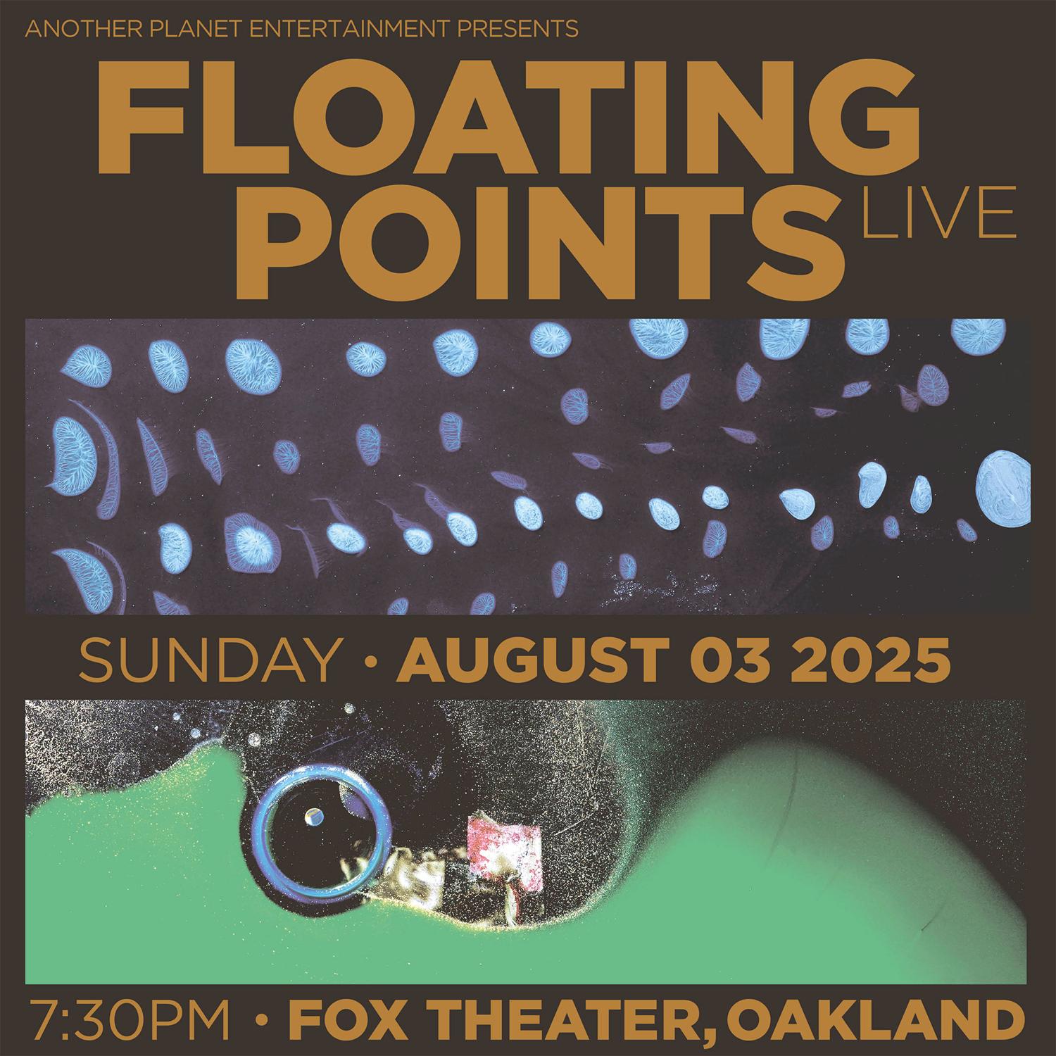 Floating Points (Live)