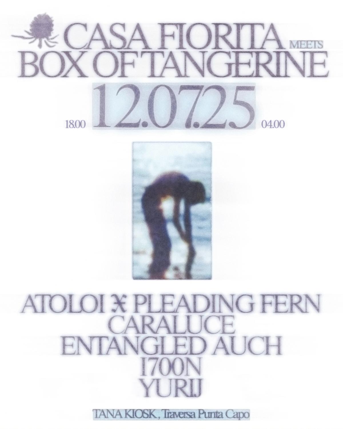 Casa Fiorita Meets Box Of Tangerine