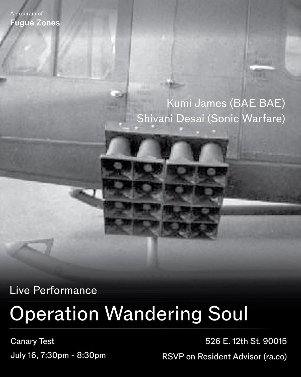 Operation Wandering Soul