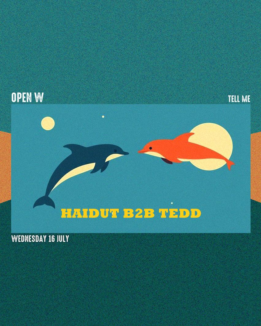 Open W: Haidut B2B Tedd