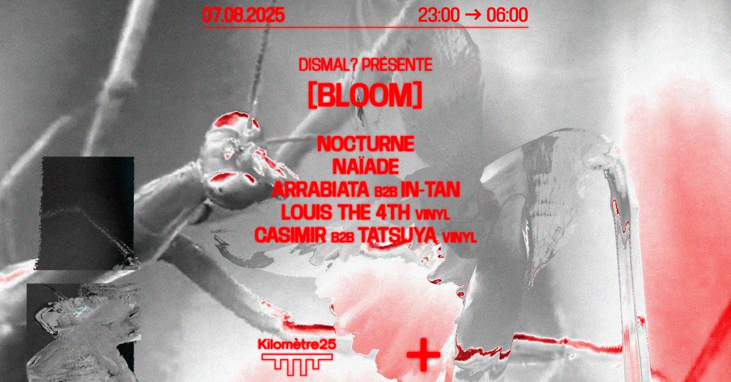 Dismal?: Louis The 4Th, Arrabiata B2B In-Tan, Nocturne