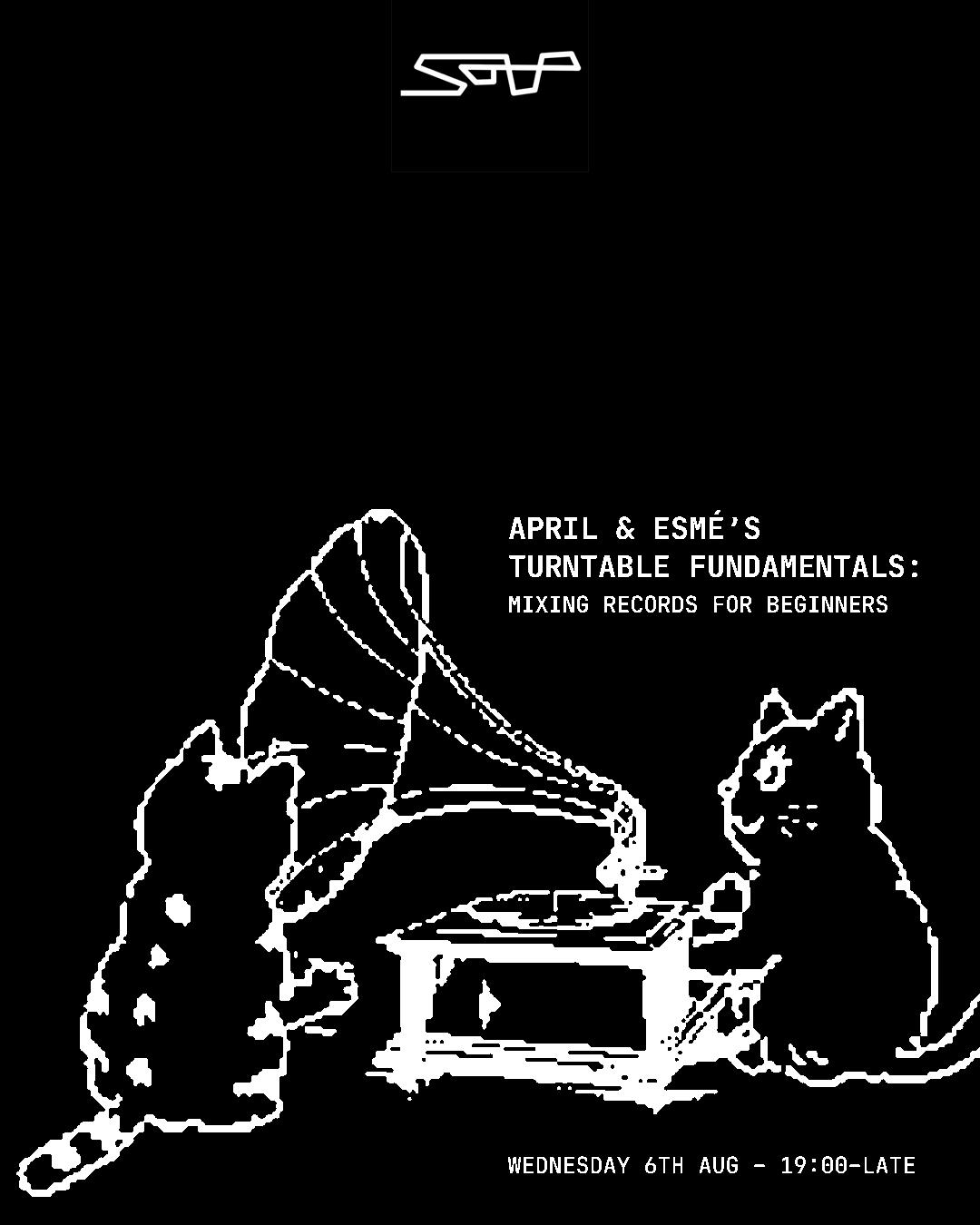 April & Esmé'S Turntable Fundamentals