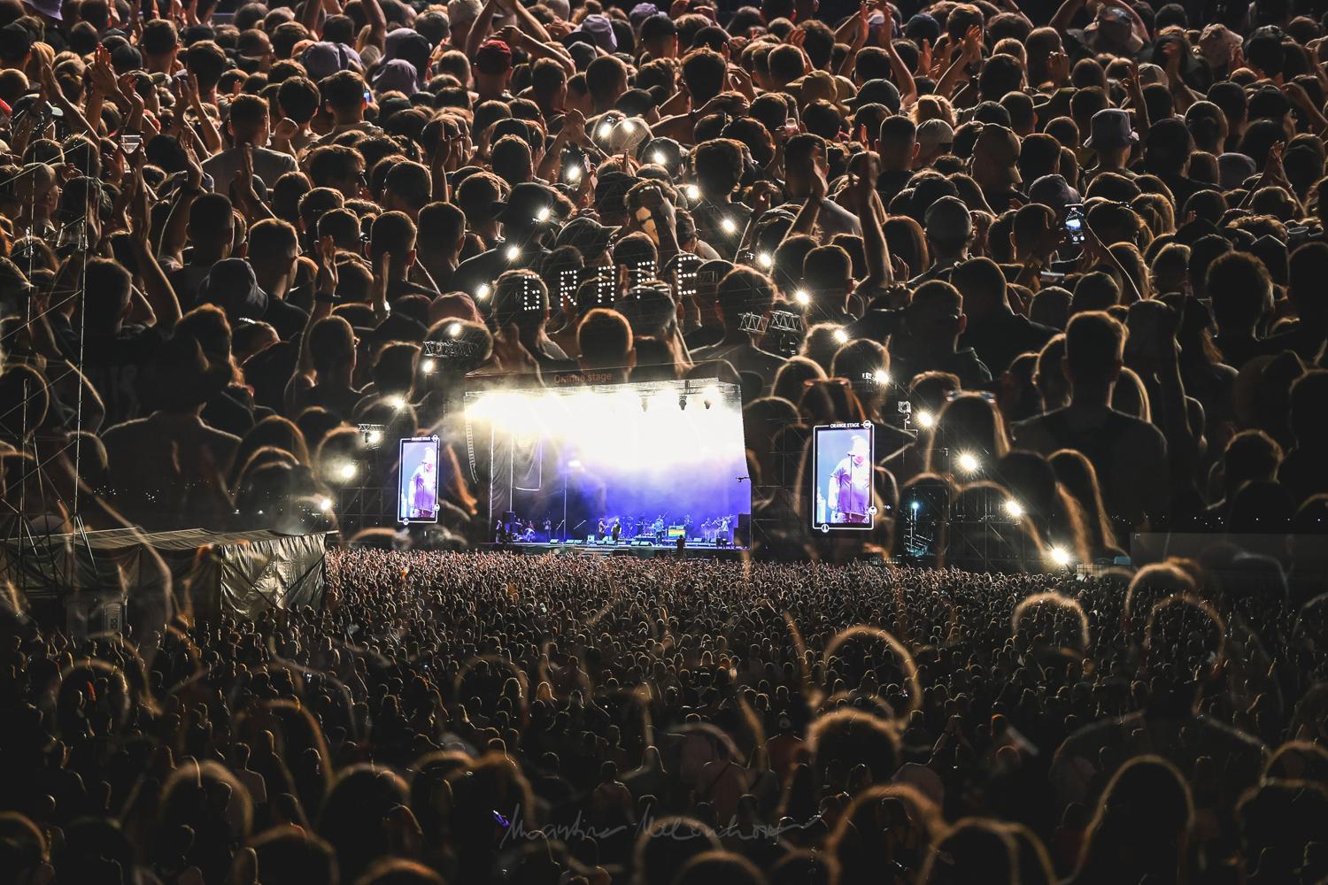 Grape Festival 2025