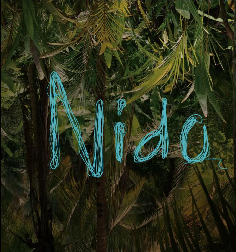 Nido