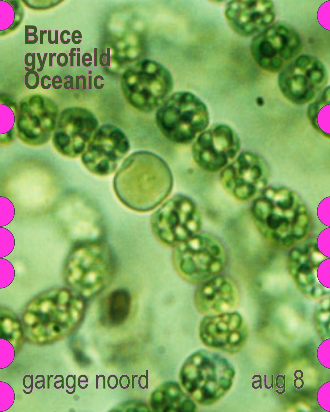 Bruce, Gyrofield, Oceanic