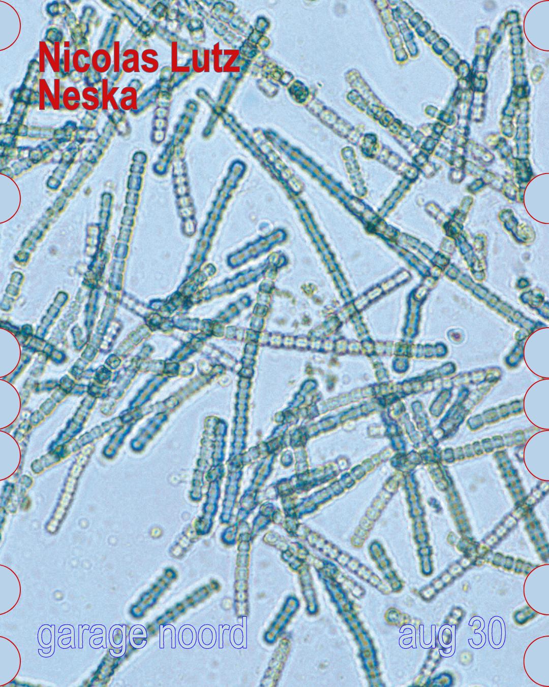 Nicolas Lutz, Neska