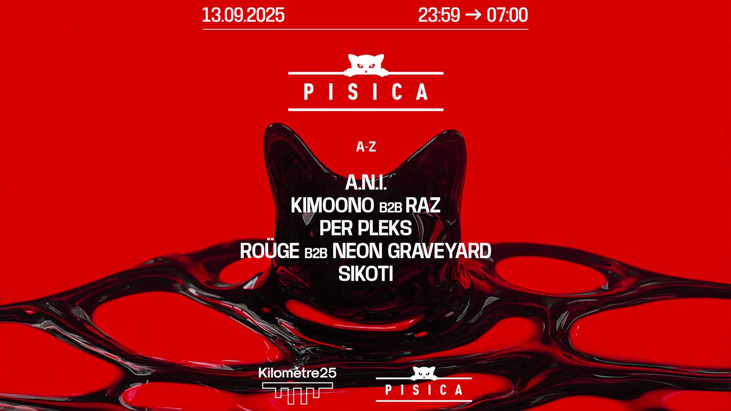 Pisica: A.N.I., Sikoti, Roüge B2B Neon Graveyard, Kimoono