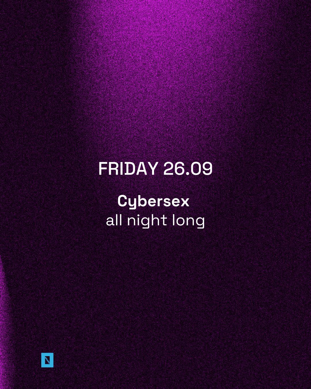 Toffler Presents Cybersex (All Night Long)