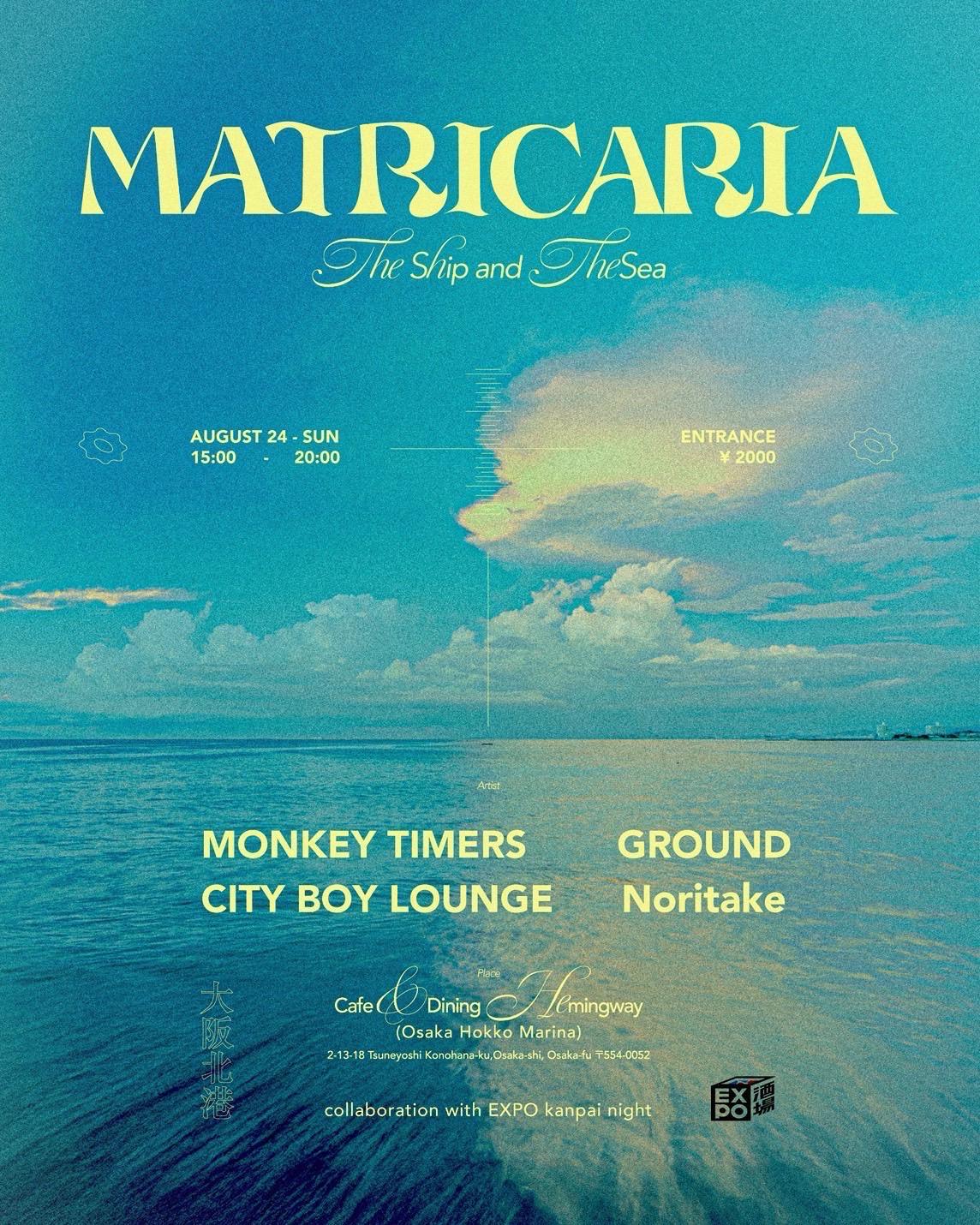 Matricaria 'The Ship And The Sea'