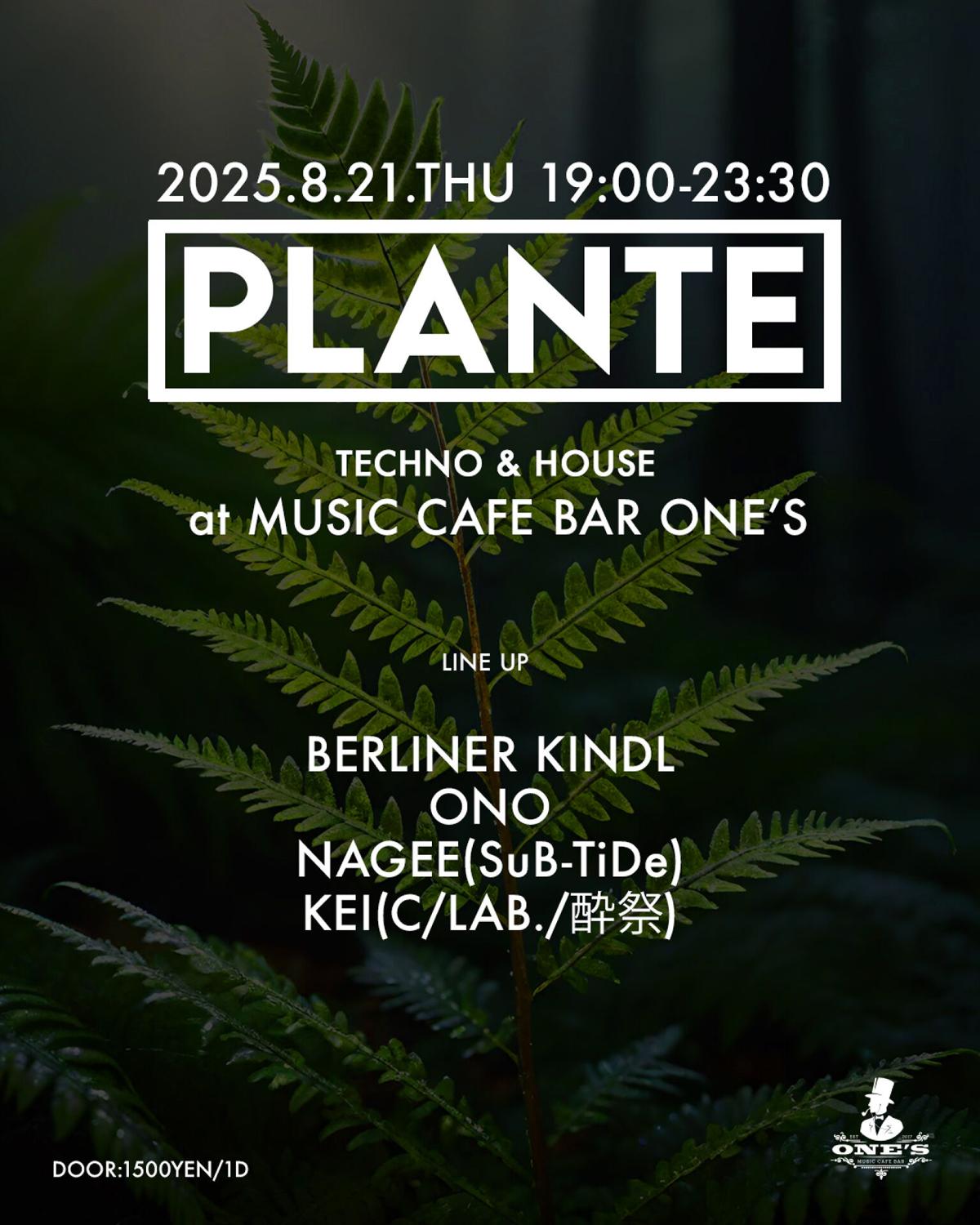 Plante