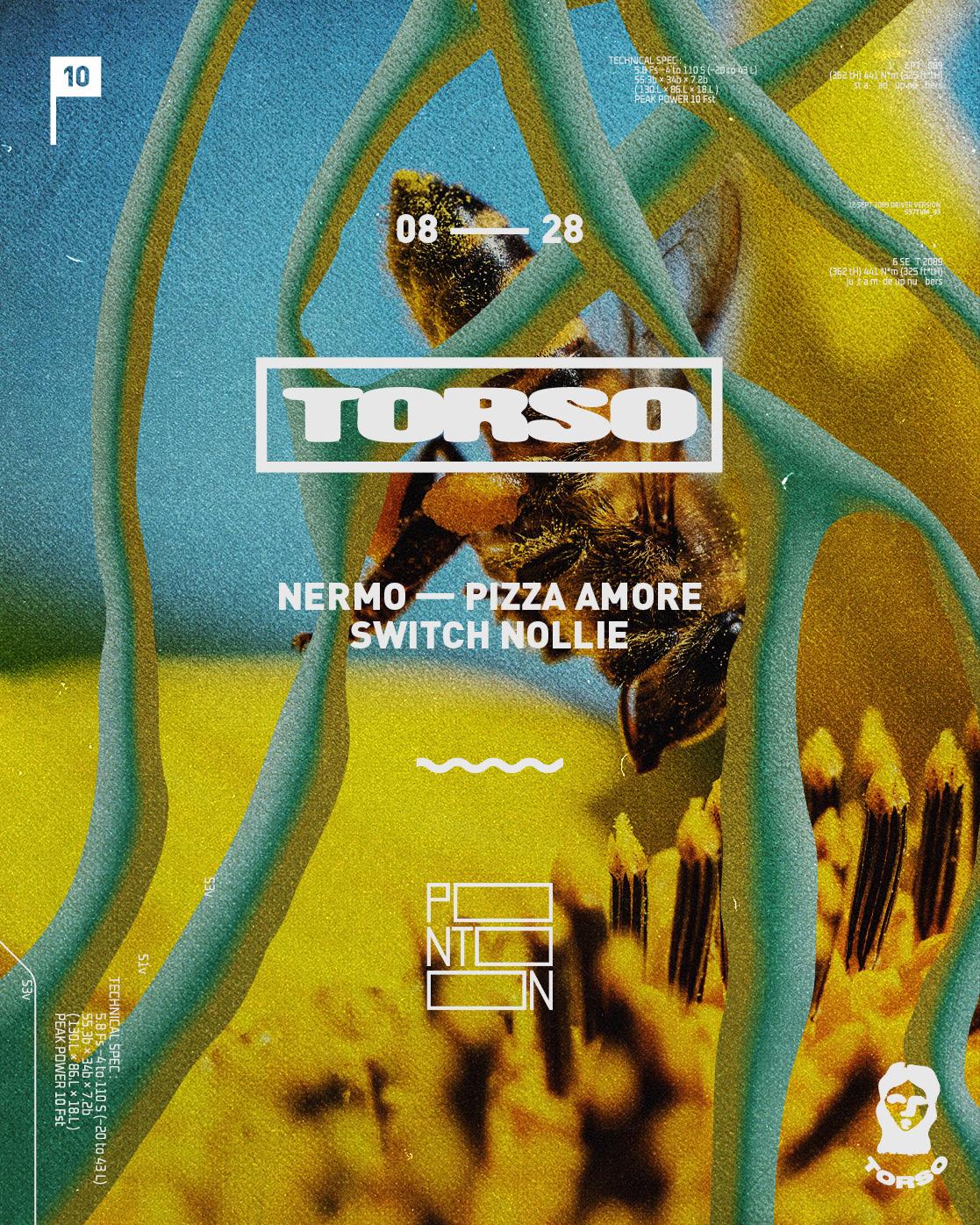 Torso