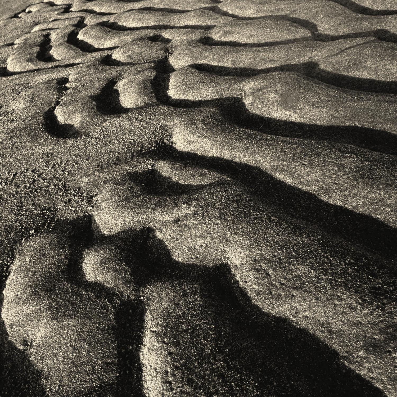 Cotton (Brooklyn) / Rlct (Society 3000)