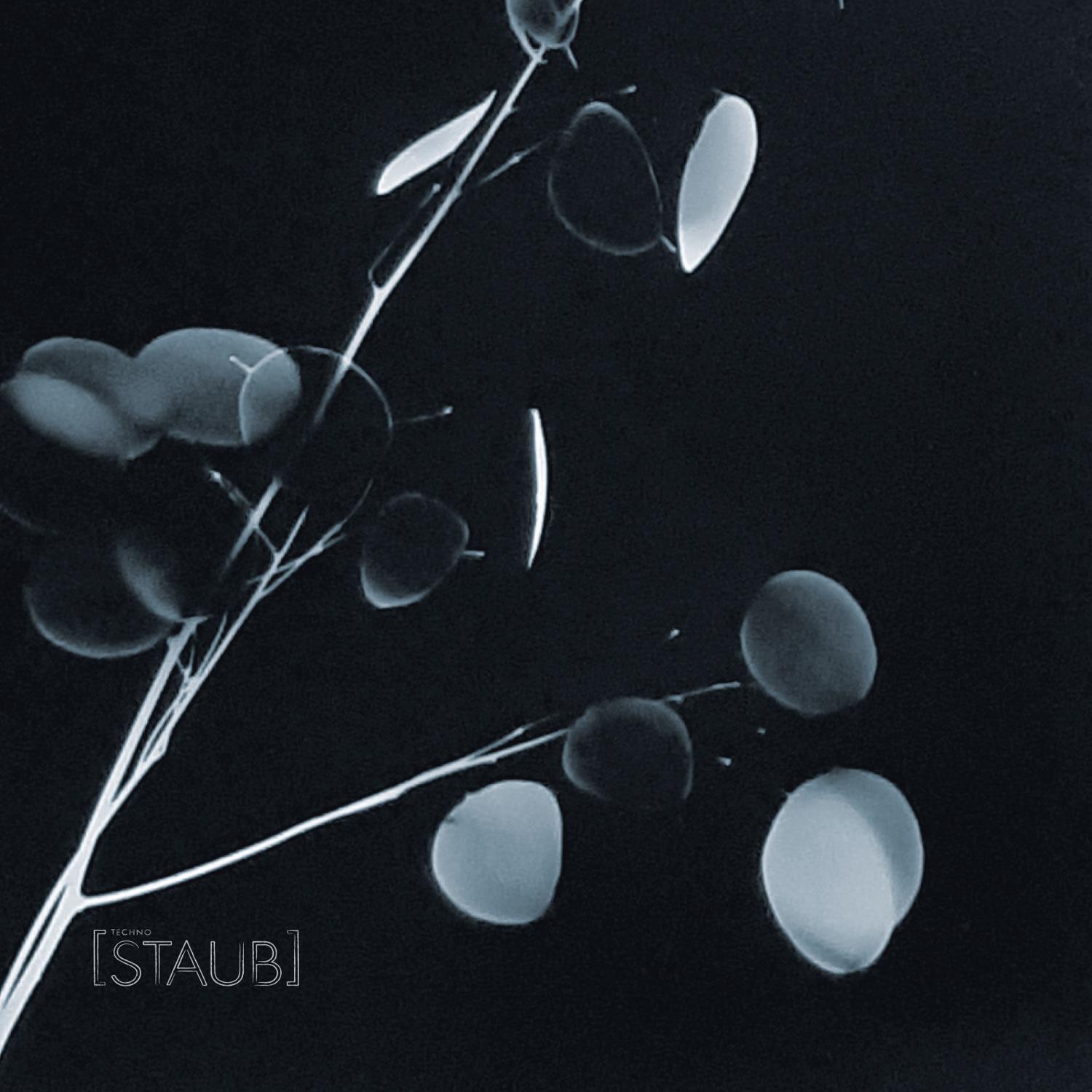 Staub