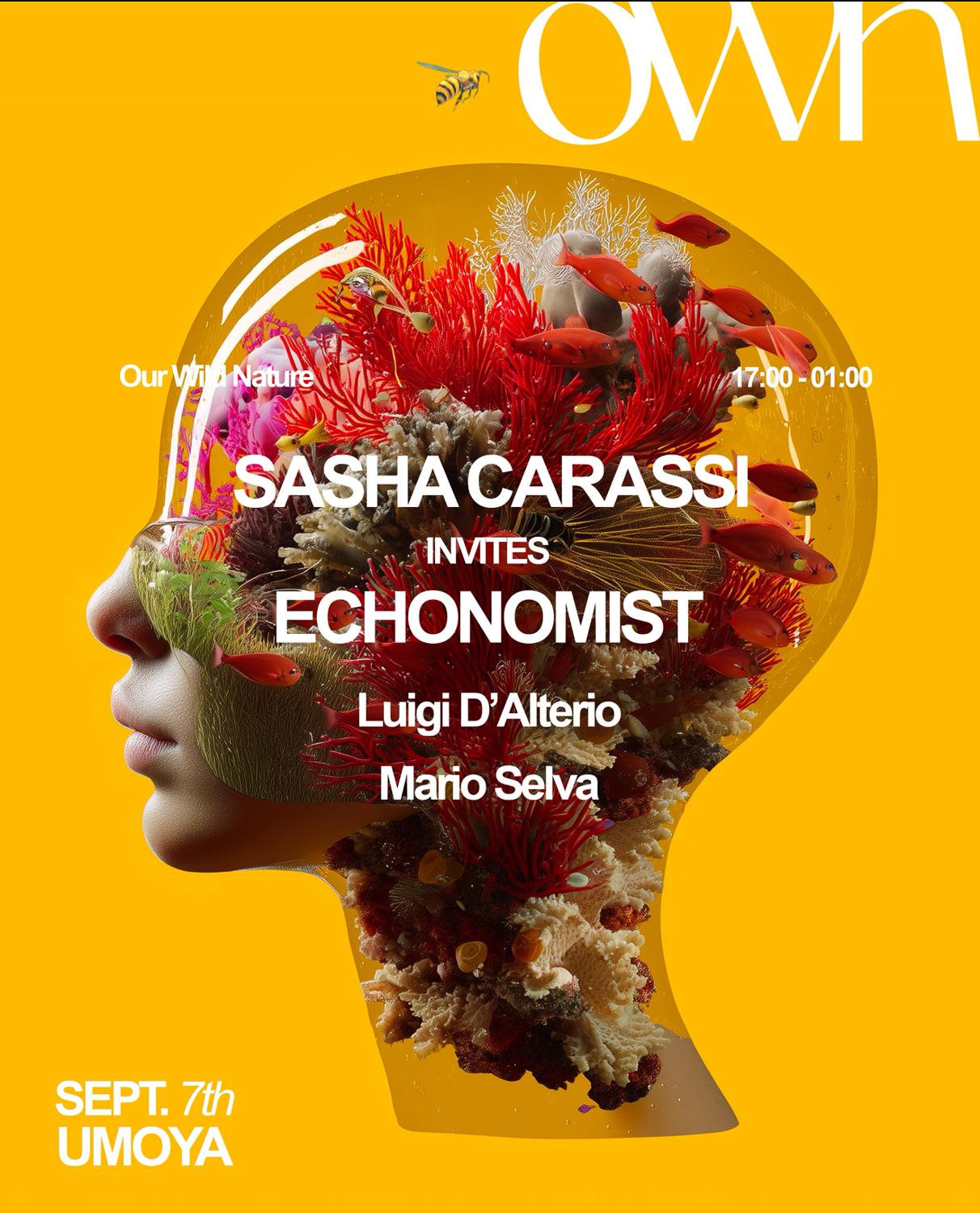 Own With Sasha Carassi & Echonomist