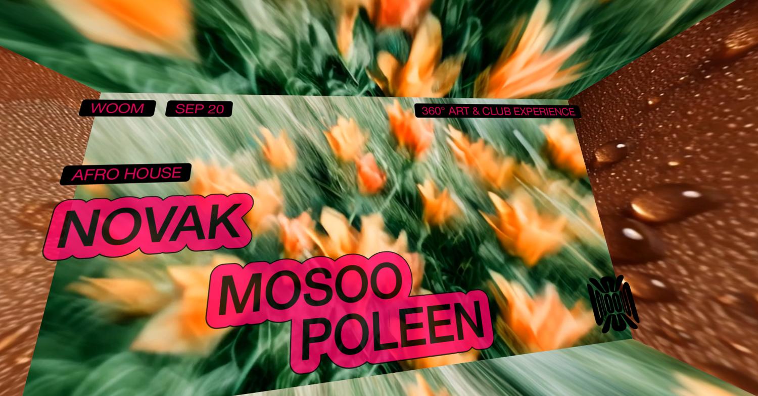 Novak & Mosoo