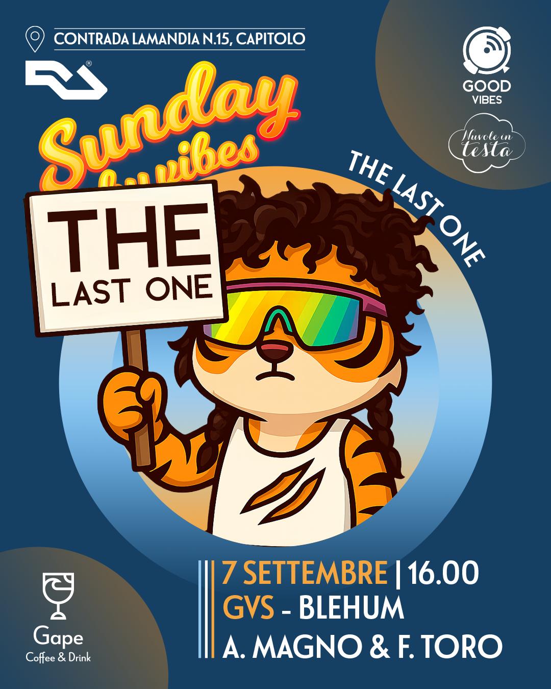 Sunday By Vibes