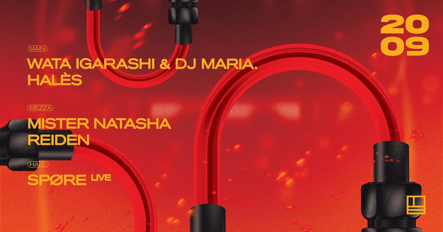 Waga Igarashi & Dj Maria