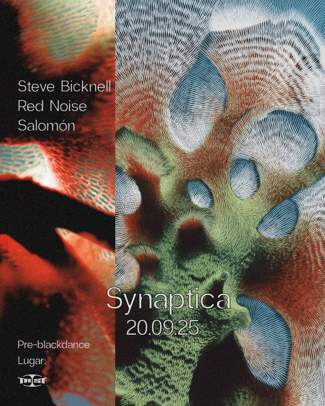 Synaptica W/ Steve Bicknell - Red Noise - Salomón