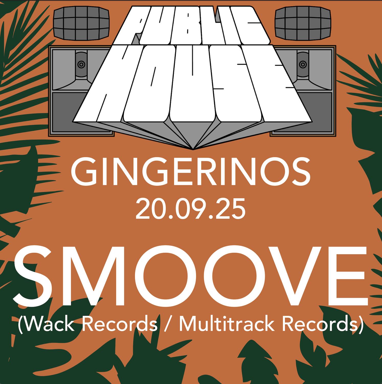 Public House Hifi Party With Smoove (Multitrack Records/Wack Records)