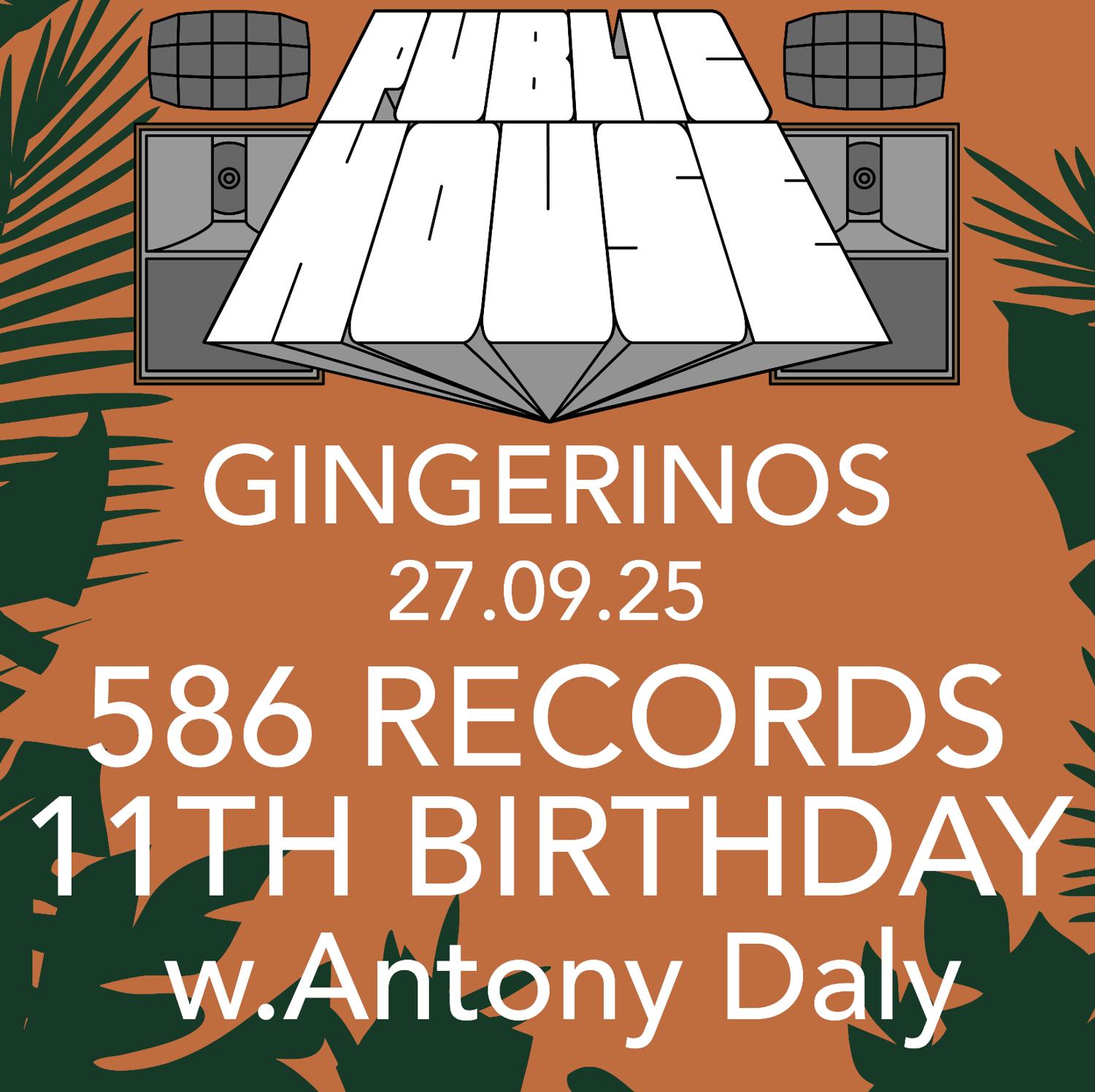 Public House Hifi Party Presents 586 Records 11Th Birthday Party With Antony Daly