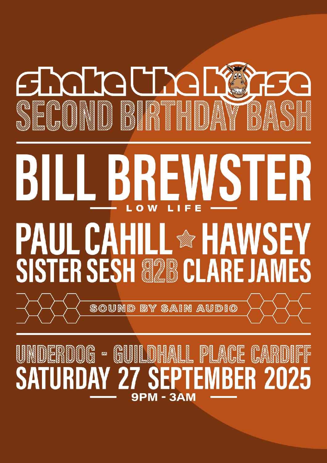 Shake The Horse 2Nd Birthday
