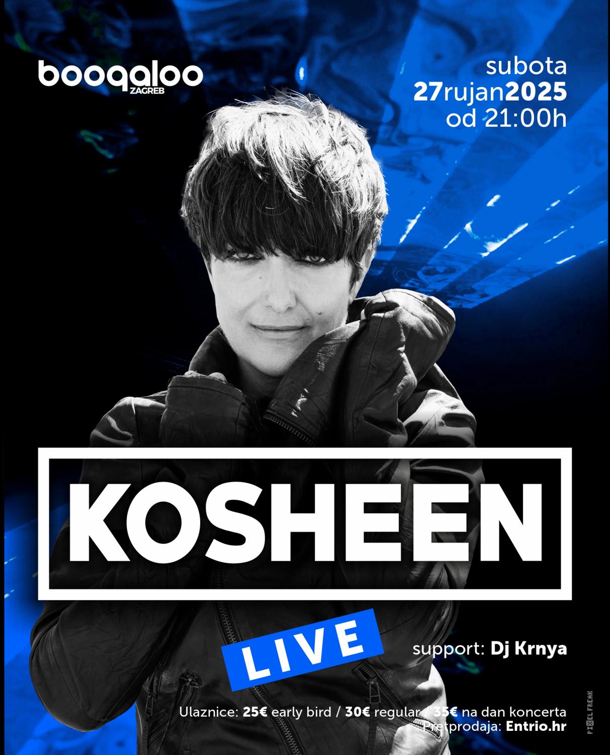Kosheen Live Show