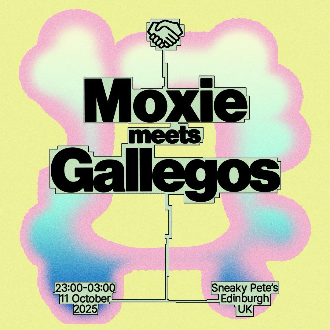 Moxie Meets: Gallegos