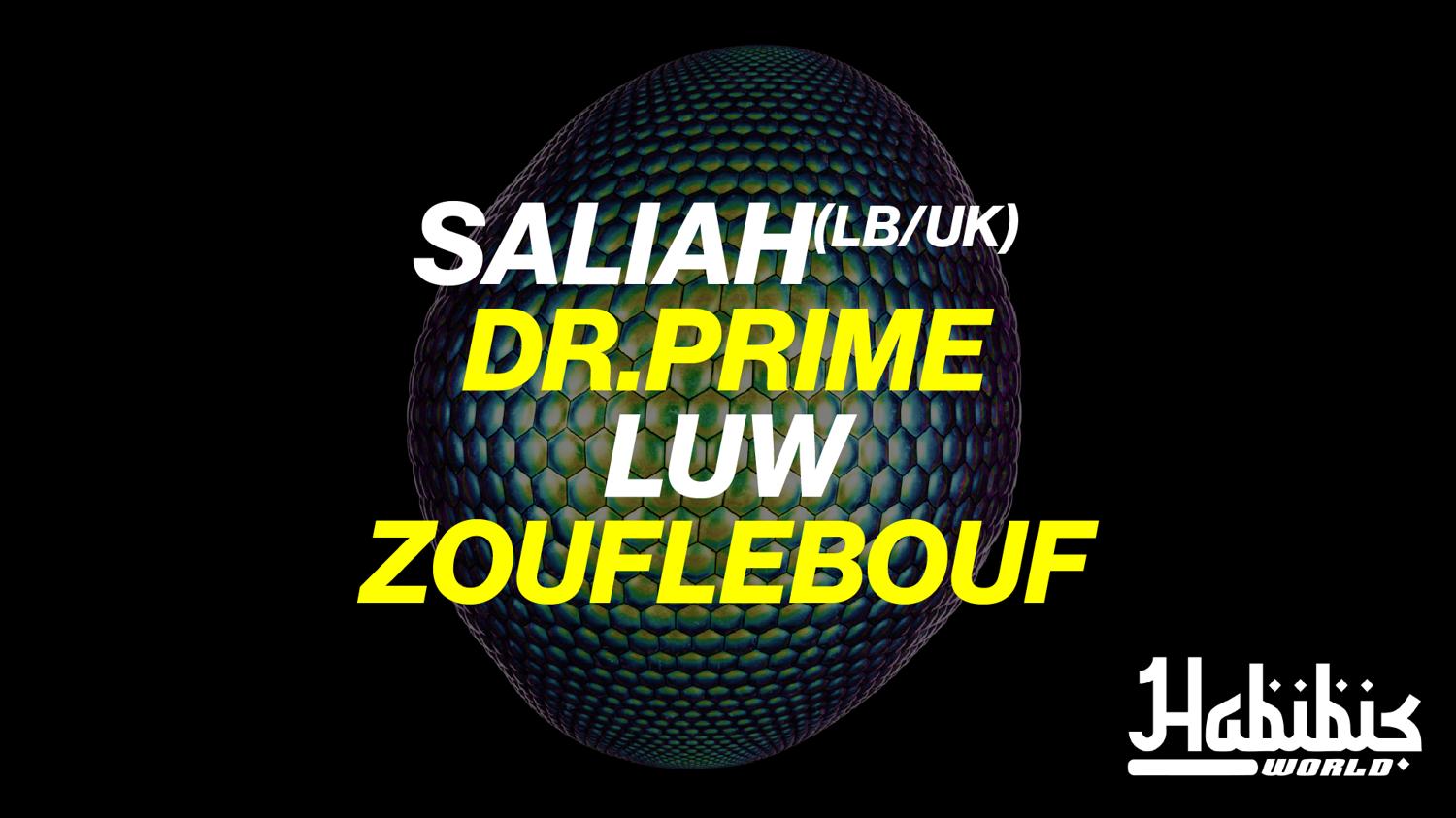 Habibi'S World X Dwntwn