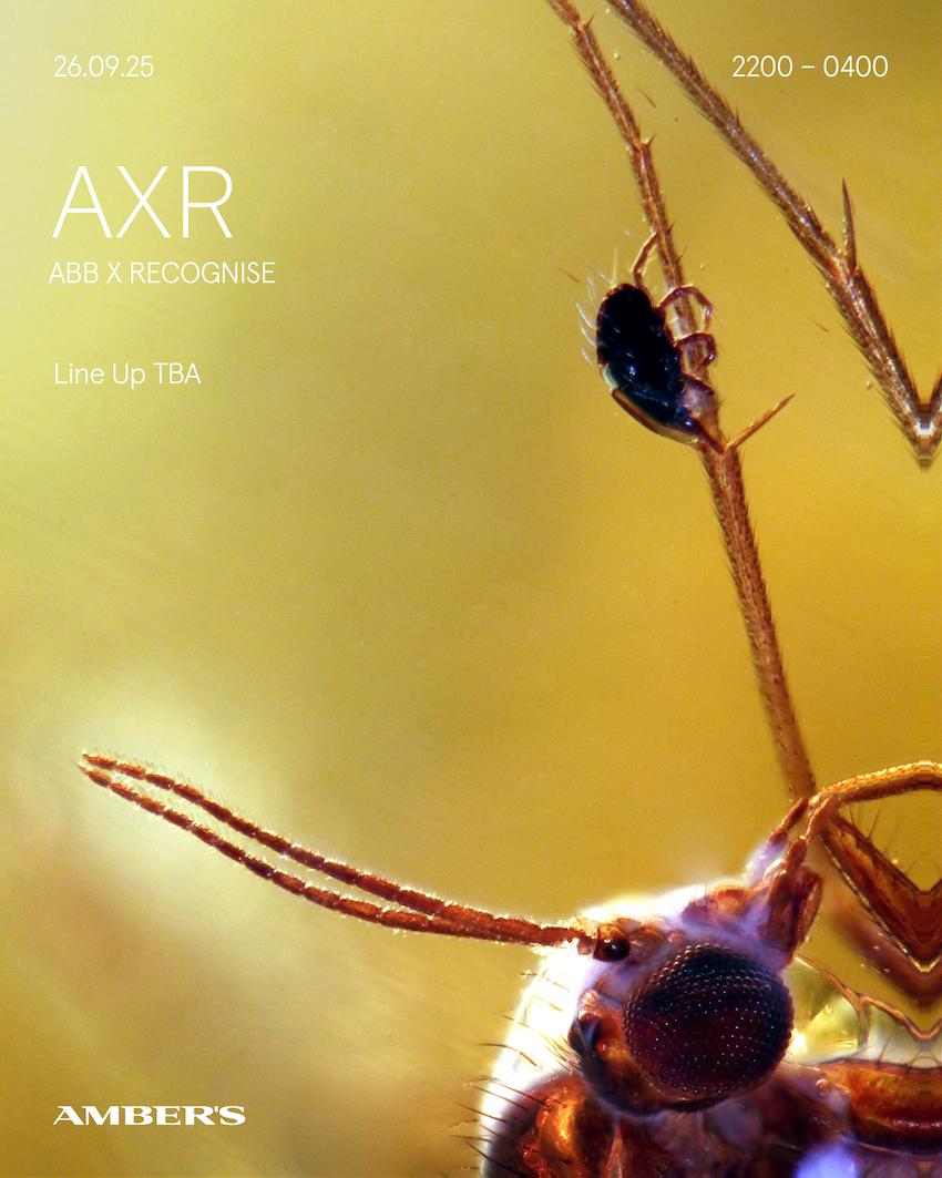 Axr: (Abb X Recognise) - Line Up Tba