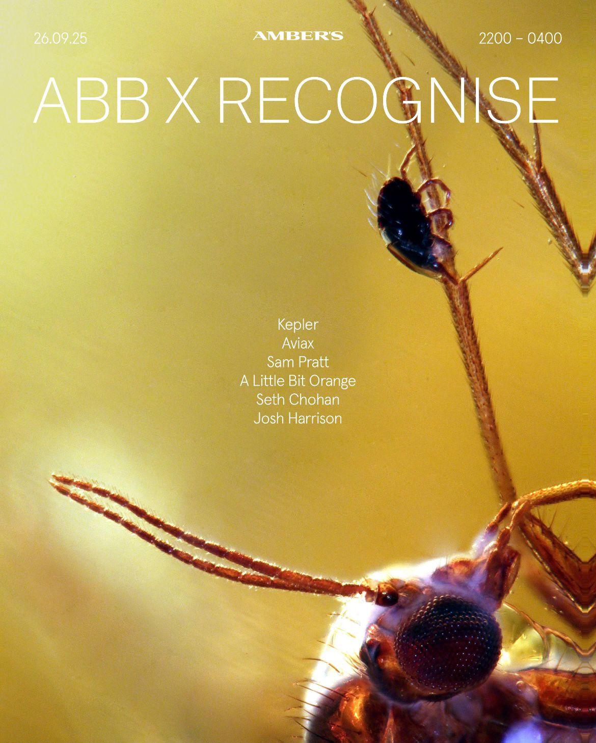 Axr: (Abb X Recognise) - Kepler, Residents More