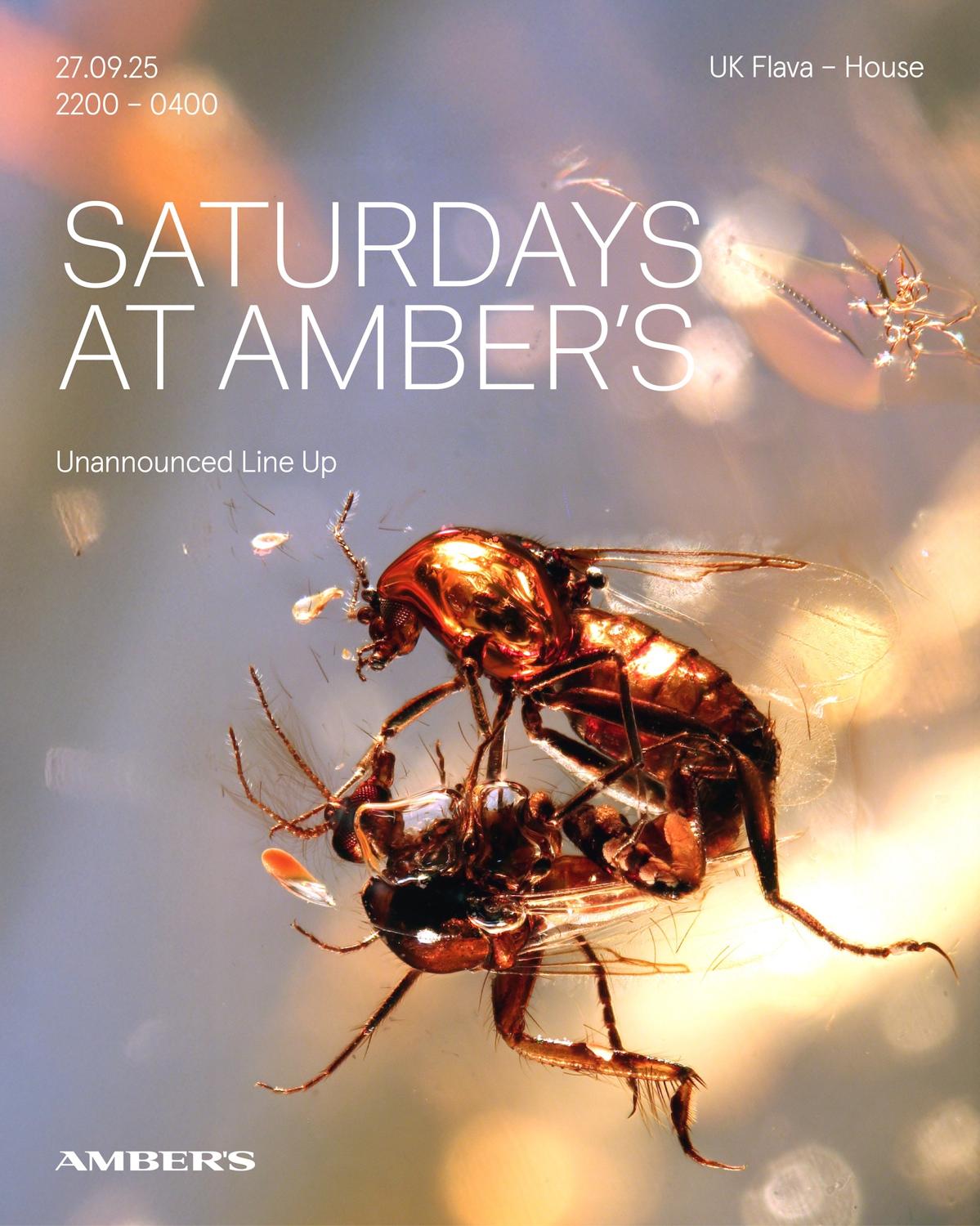 Saturdays At Amber'S:  Uk Flava - House