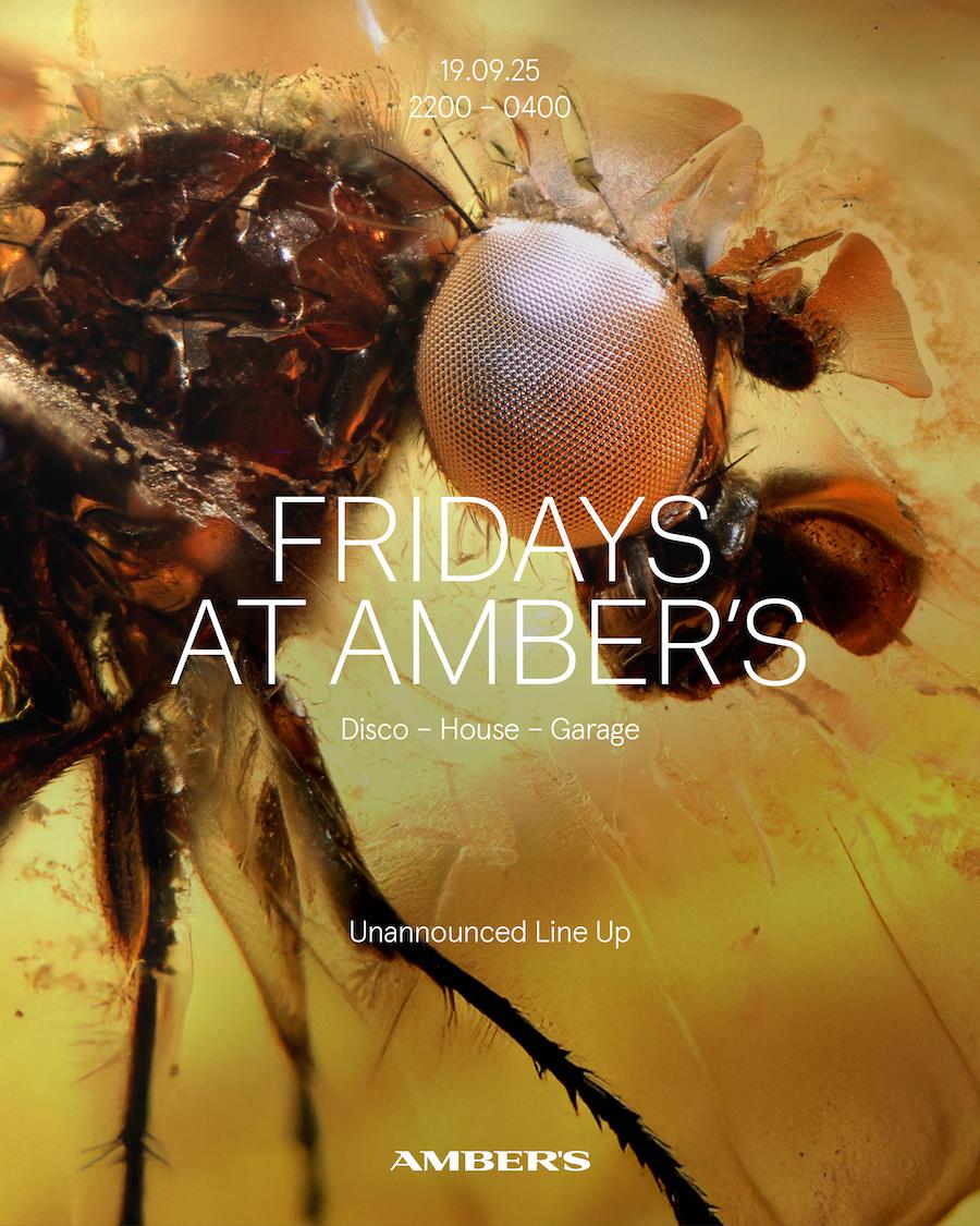 Friday At Amber'S - Disco - House - Garage