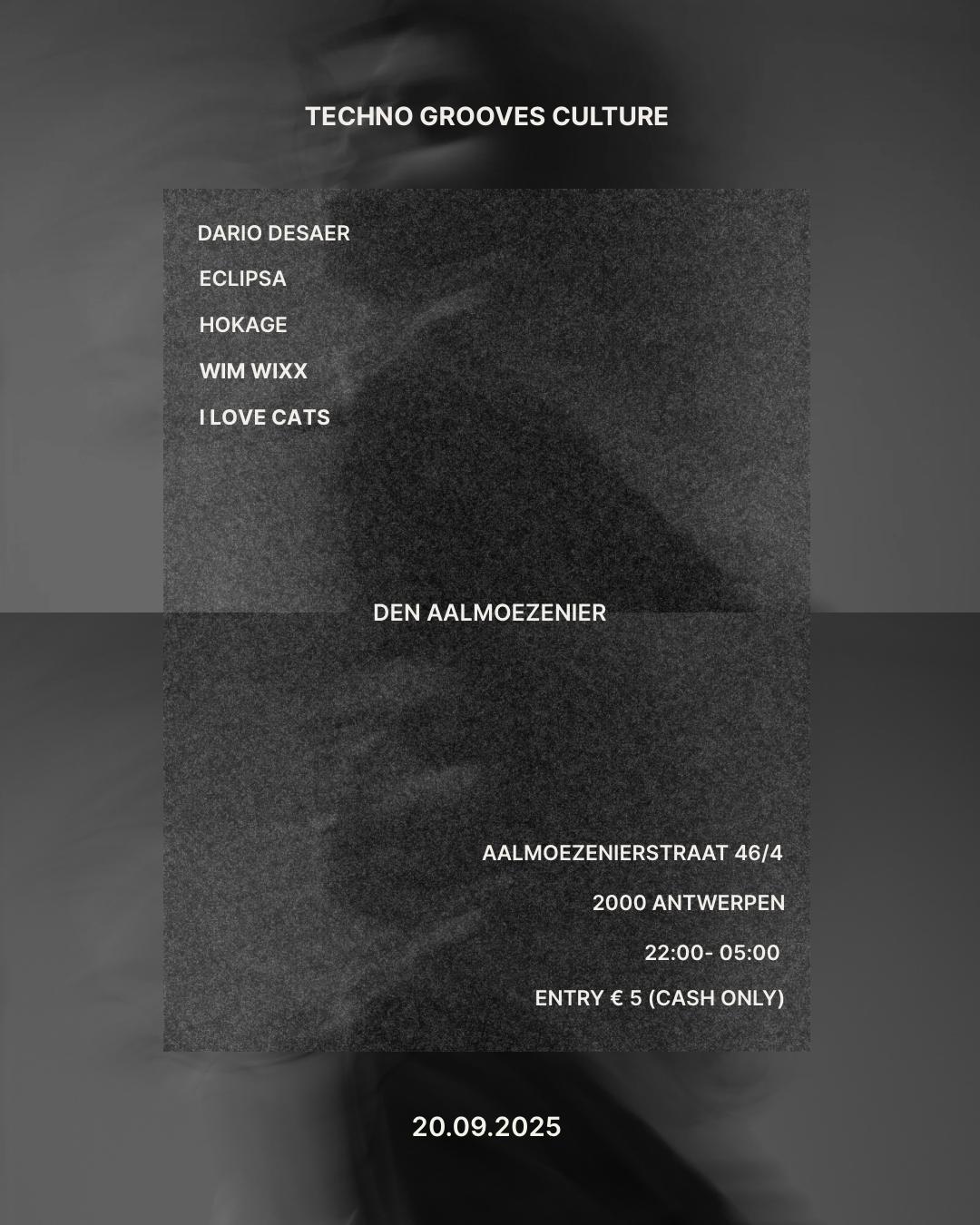 Techno Grooves Culture