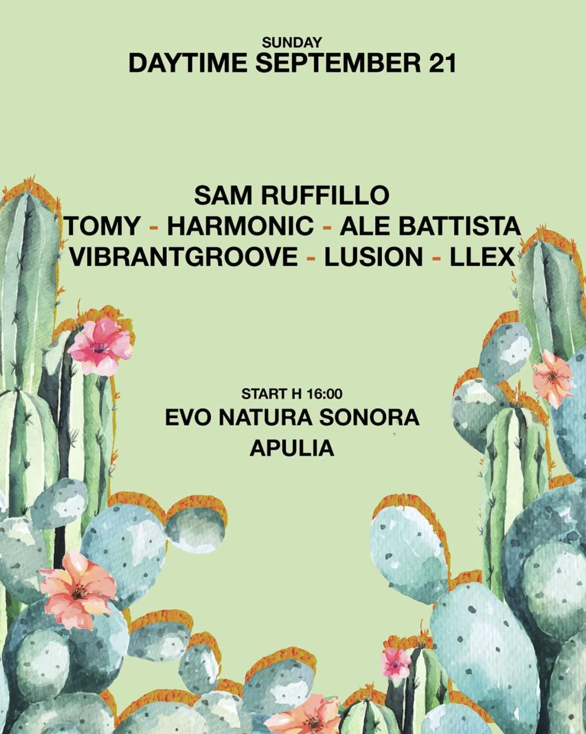 Sunday Daytime With Sam Ruffillo