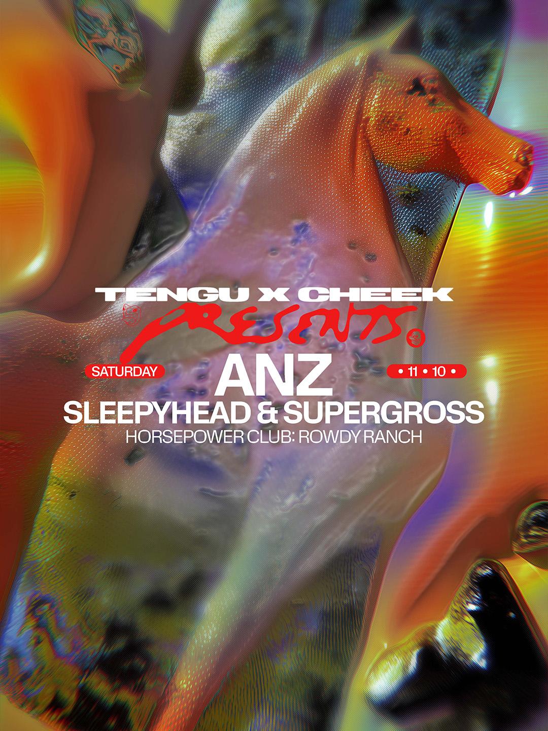 Tengu X Cheek Presents: Anz, Sleepyhead & Supergross