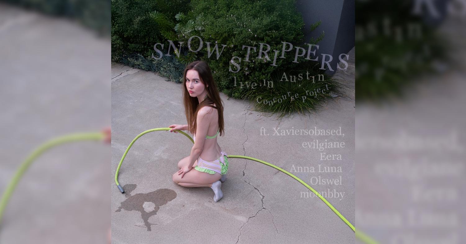 Snow Strippers