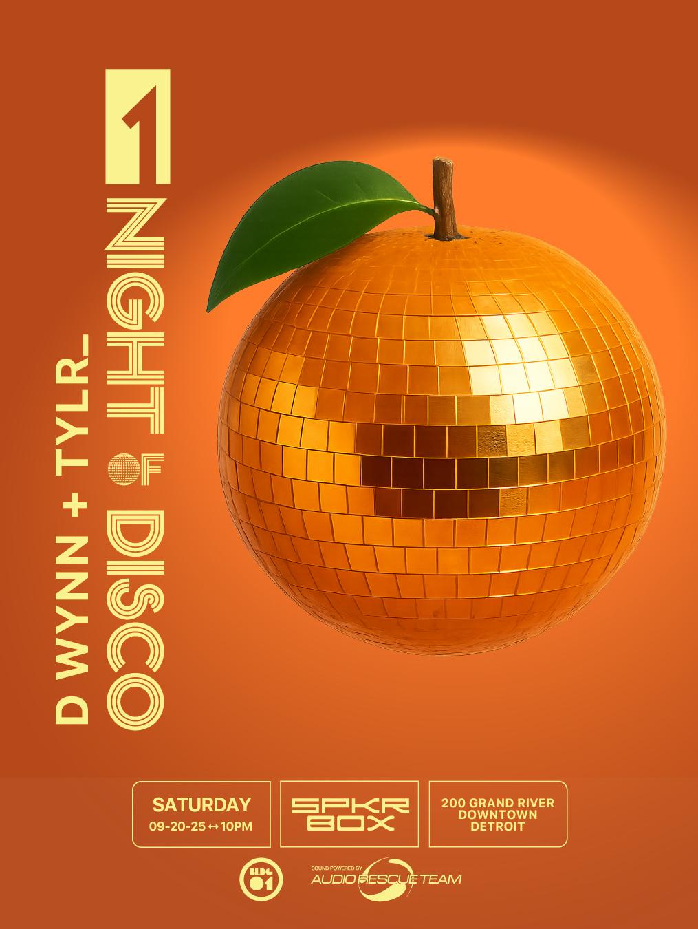 1 Night Of Disco