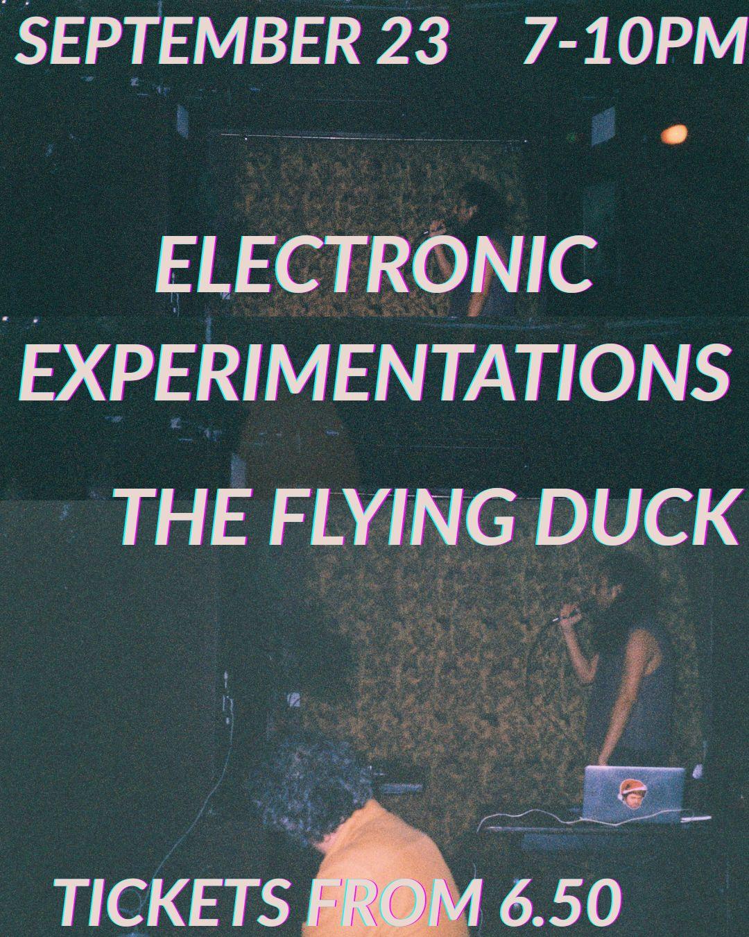 Electronic Experimentations