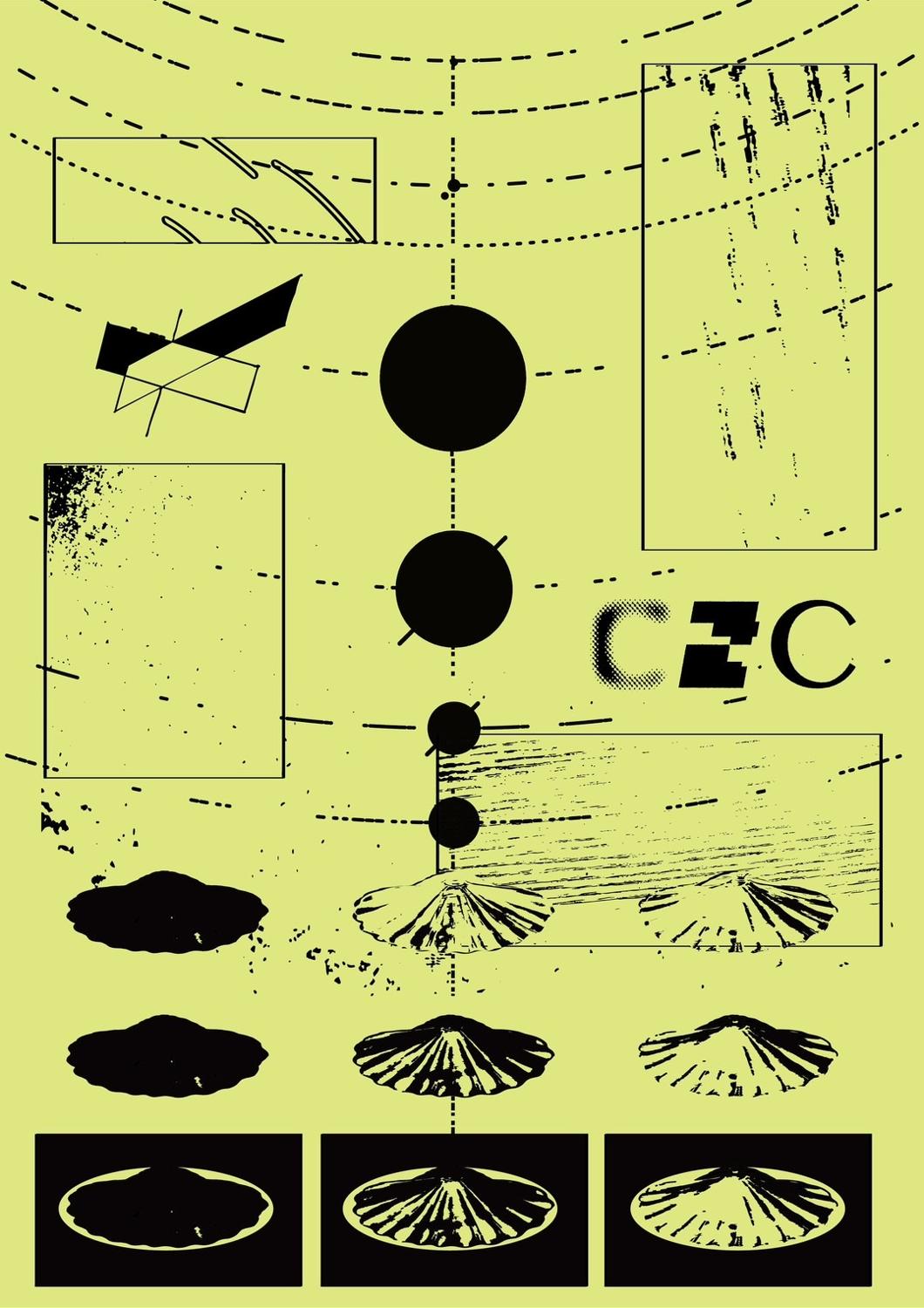 C2C