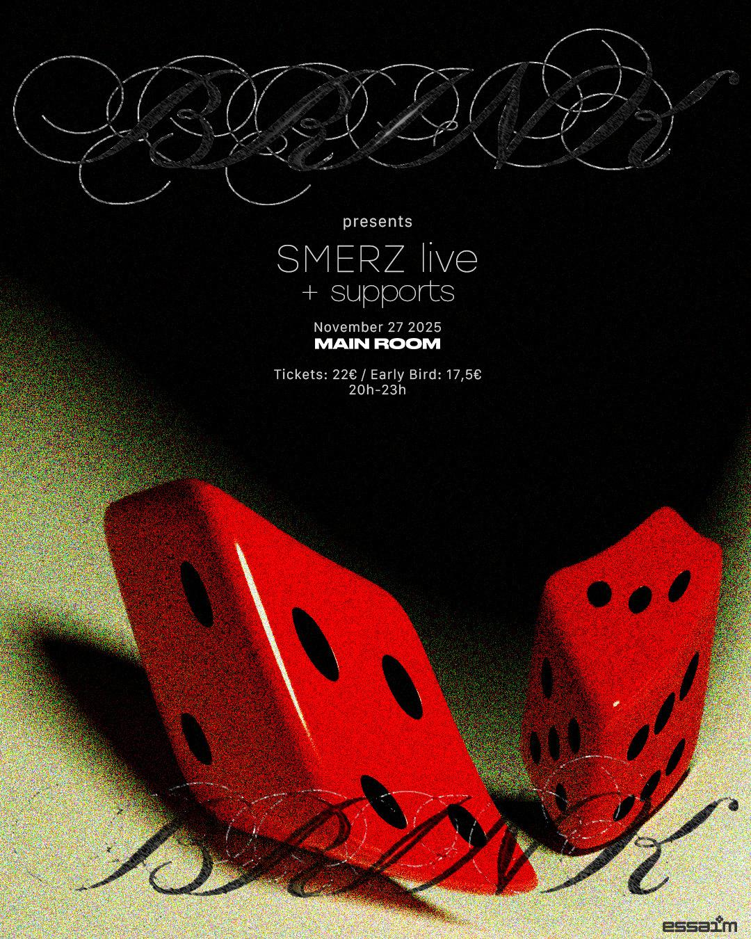 Brink Presents Smerz + Support