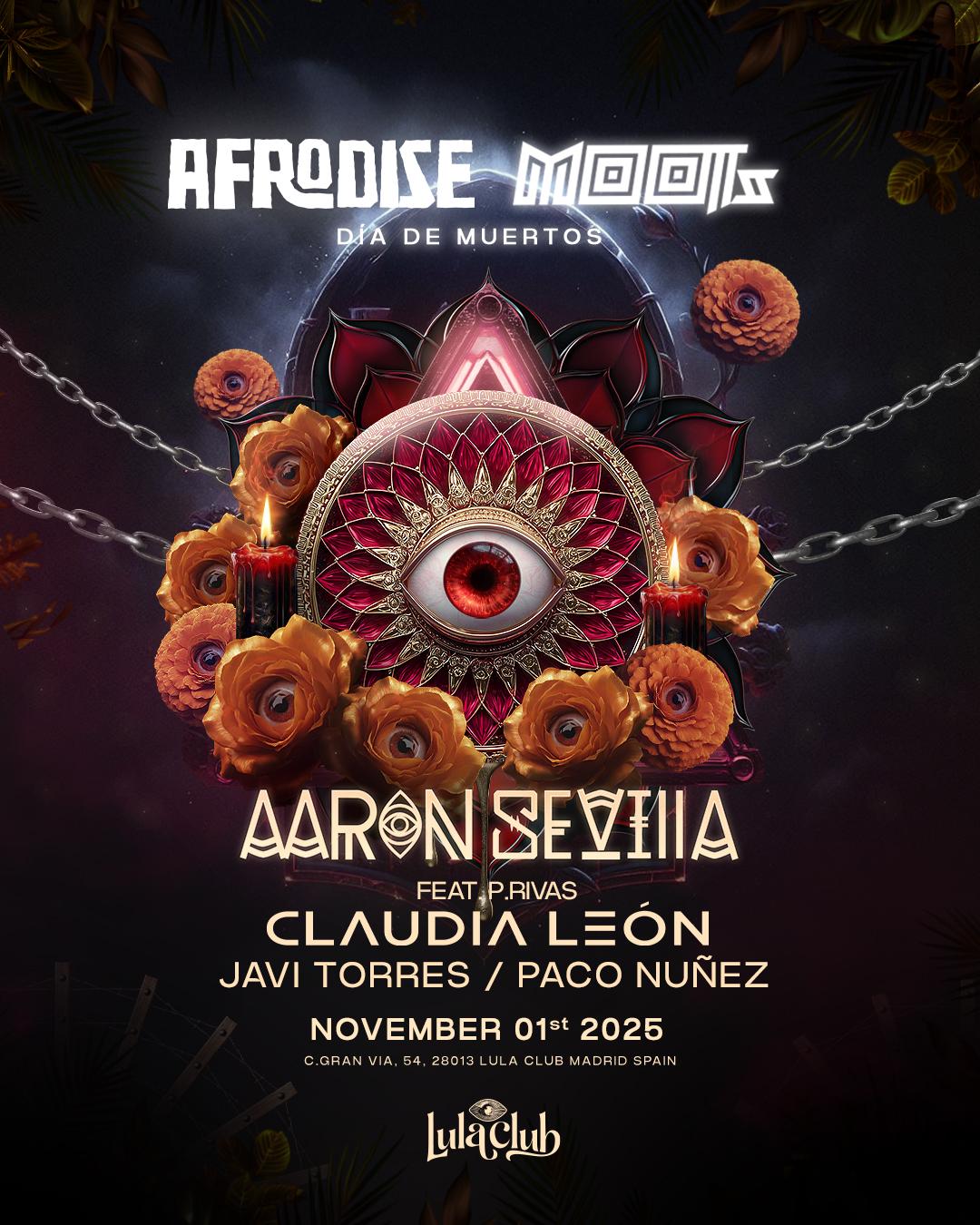 Afrodise X Moots