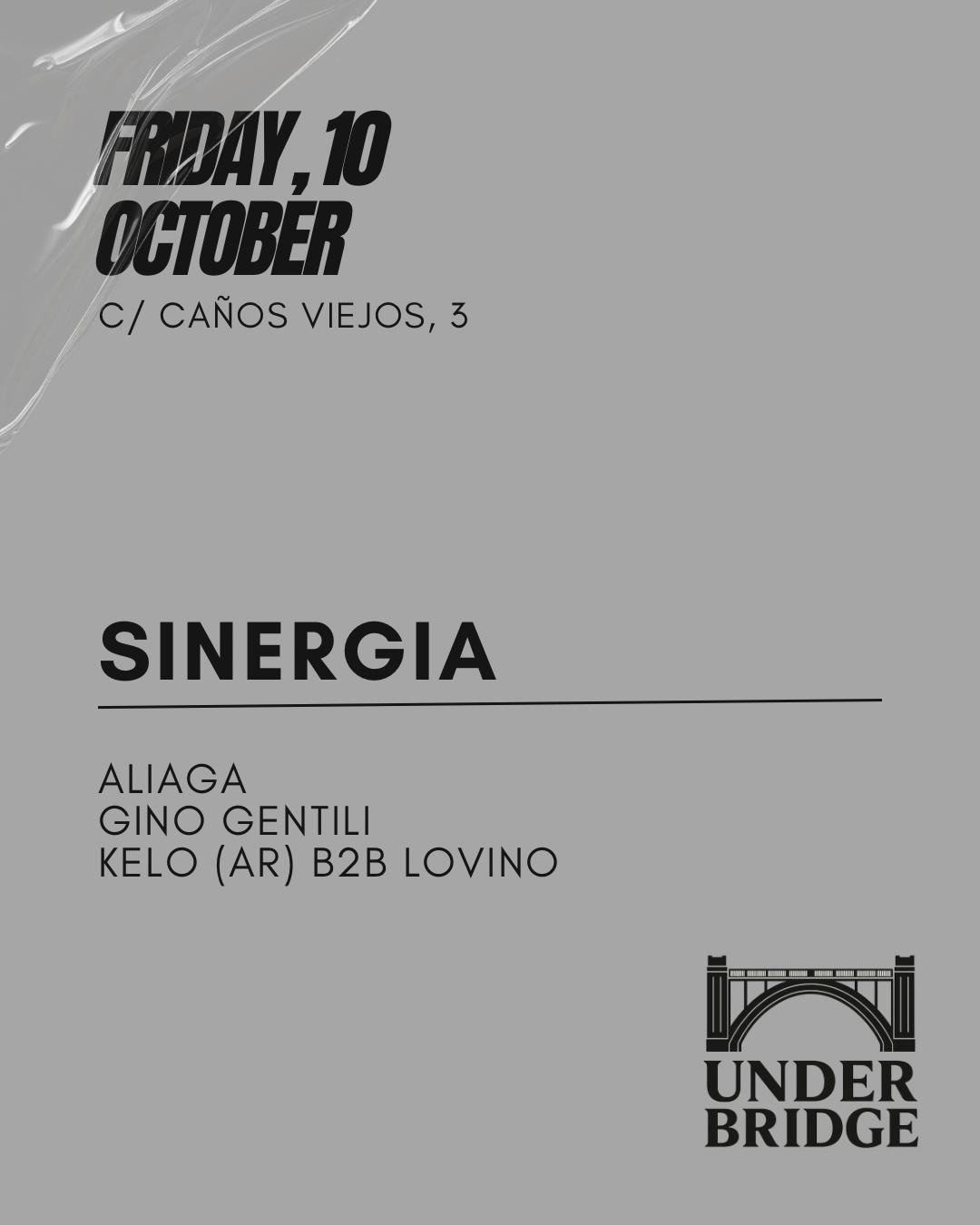 Sinergia X Under Bridge