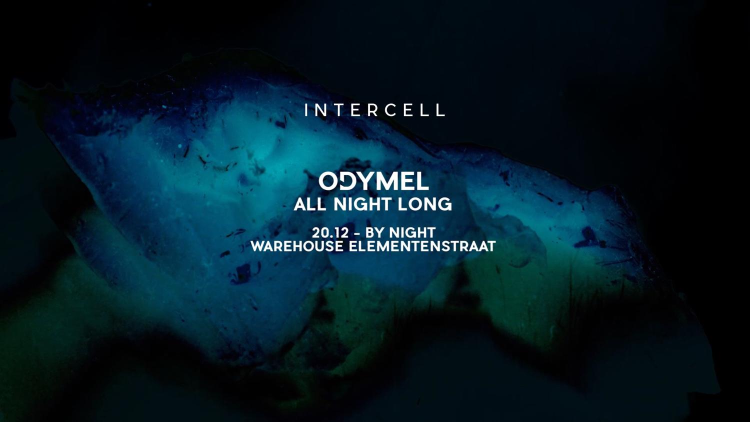 Intercell X Odymel All Night