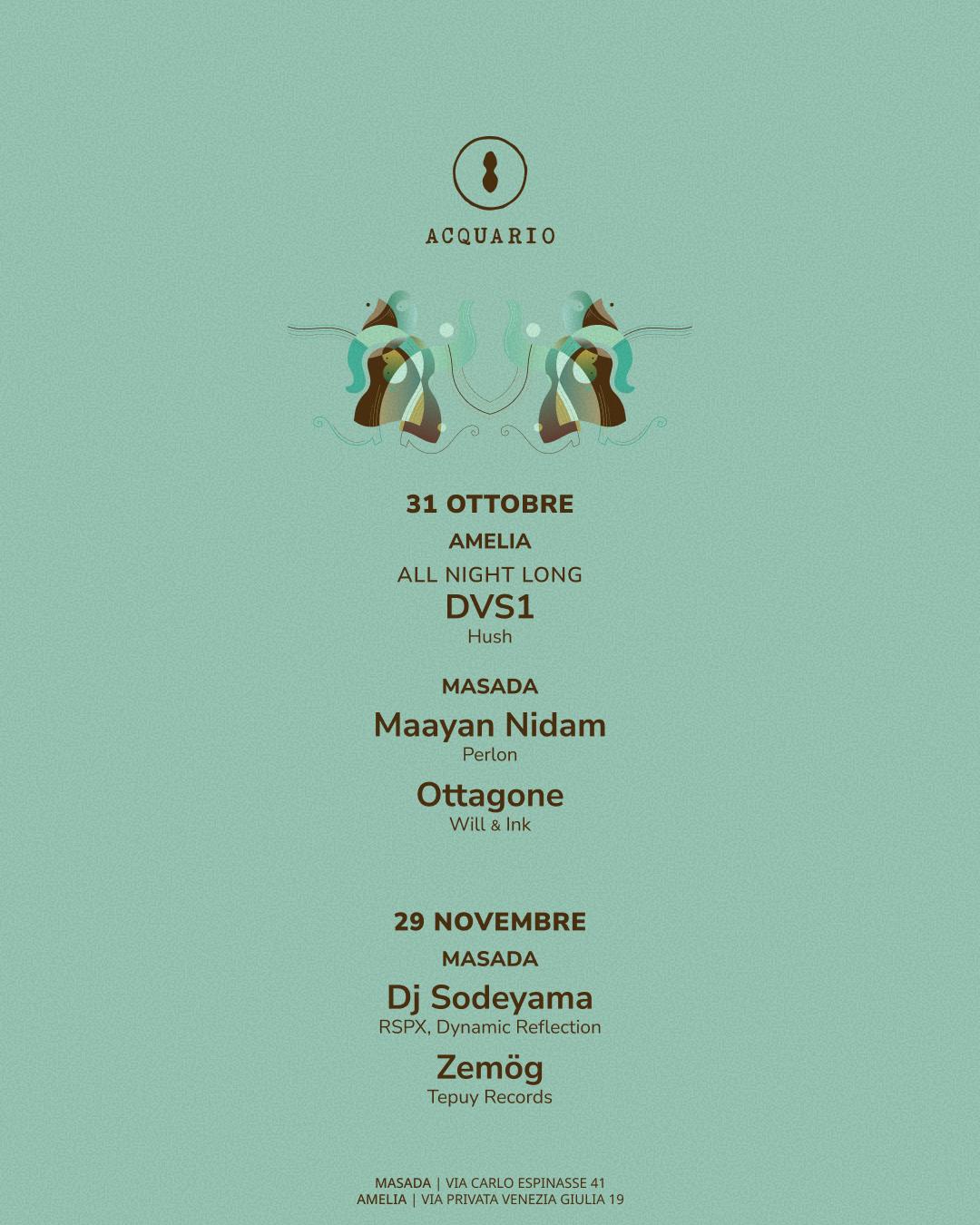 Dvs1 All Night Long // Acquario (Amelia)