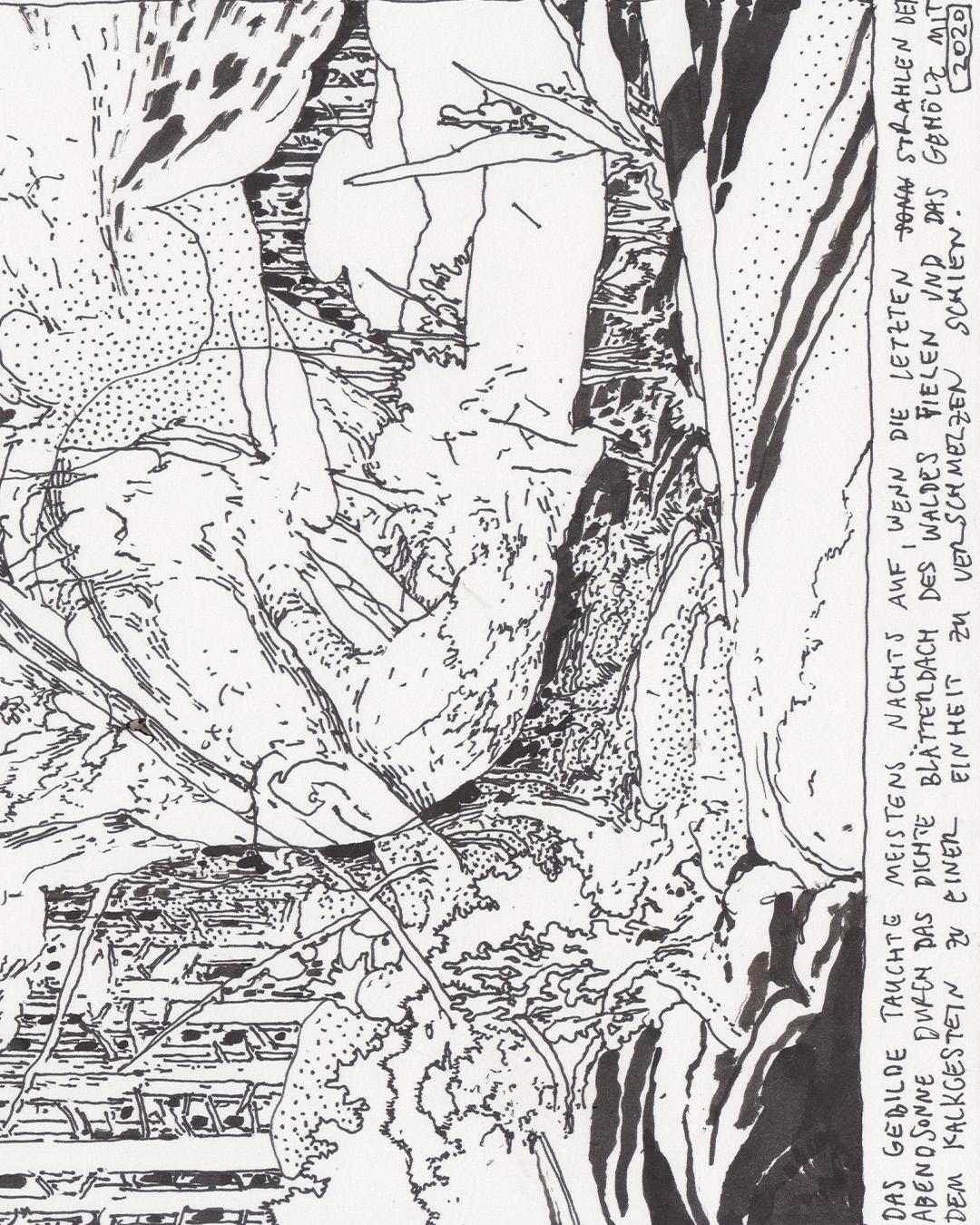 Blitz With Blasha B2B Allatt B2B Steffi B2B Virginia, Plus W/ Marie Montexier, Polygonia