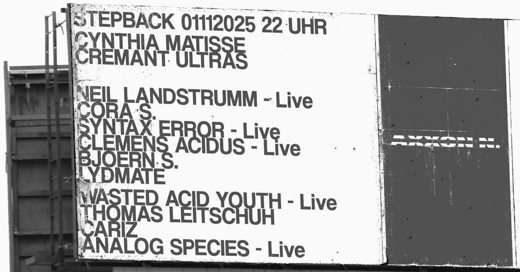 Vinylschleifer Stepback